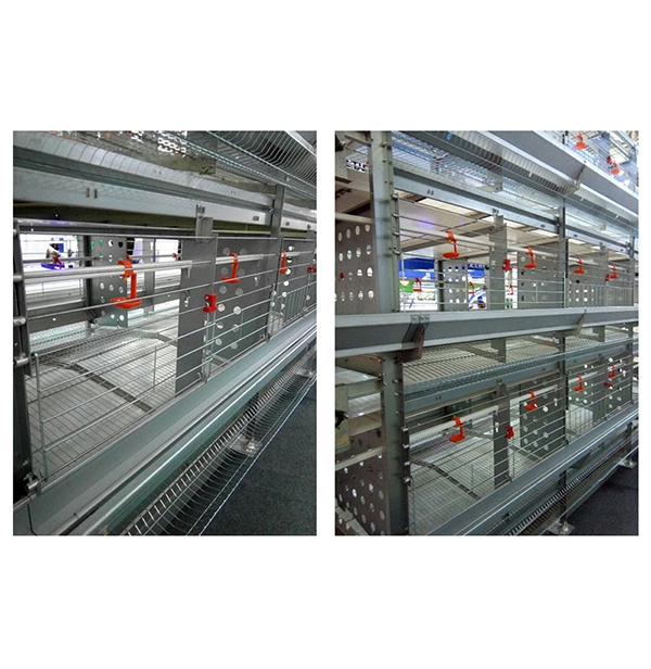 唐山层叠式种鸡笼养装备