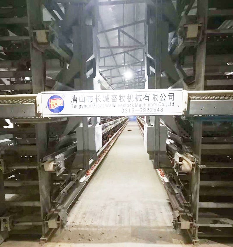 若是您想用自动化装备养蛋鸡，，，，，哪些蛋鸡装备是必不可少的？？？